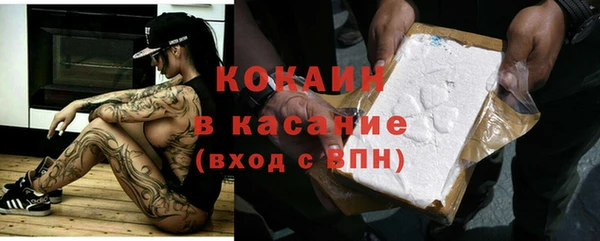 гашик Арсеньев