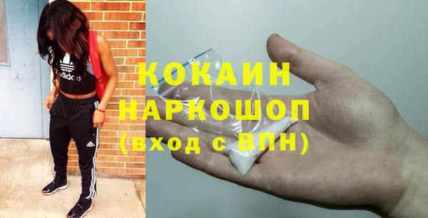 гашик Арсеньев