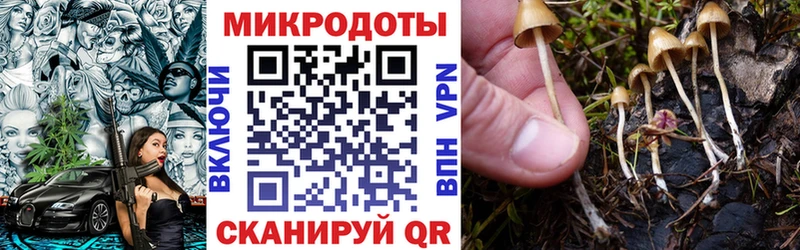 Галлюциногенные грибы Psilocybine cubensis  Первомайск 